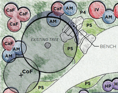 DC area native garden design plan
